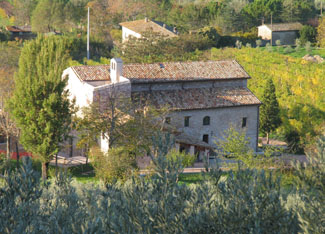 veduta di s. masseo dallalto.jpg